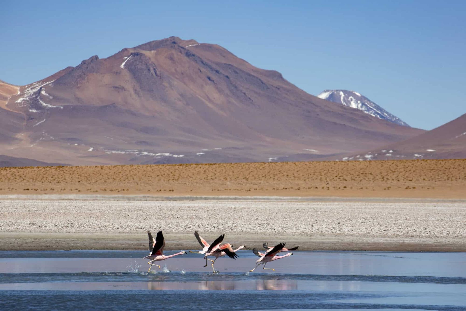 Volcanoes, Flamingos & Rock Valley