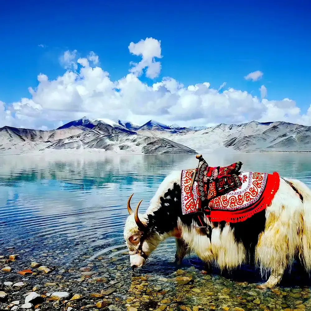Karakul Lake