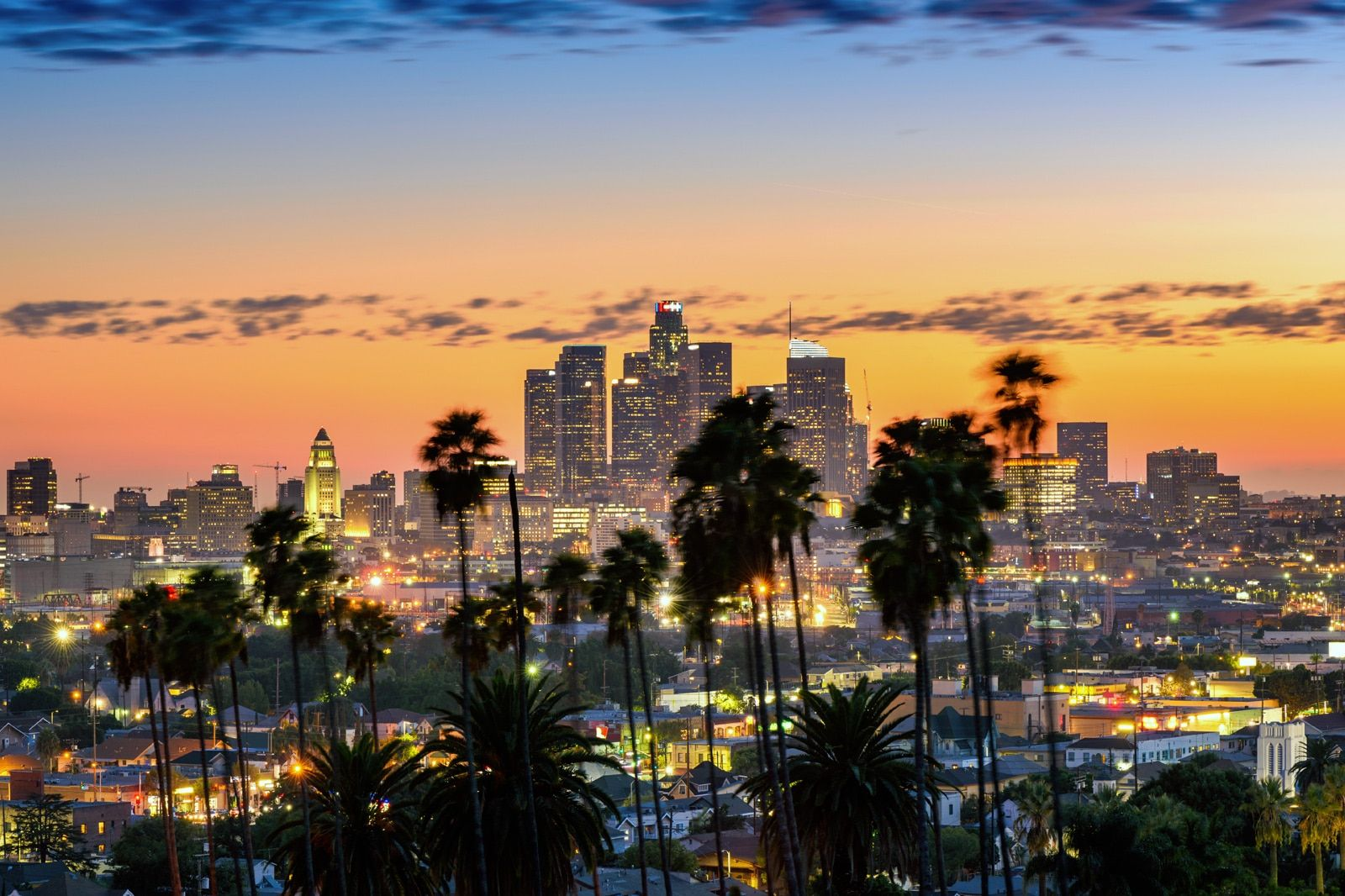 Los Angeles skyline with palm trees at sunset